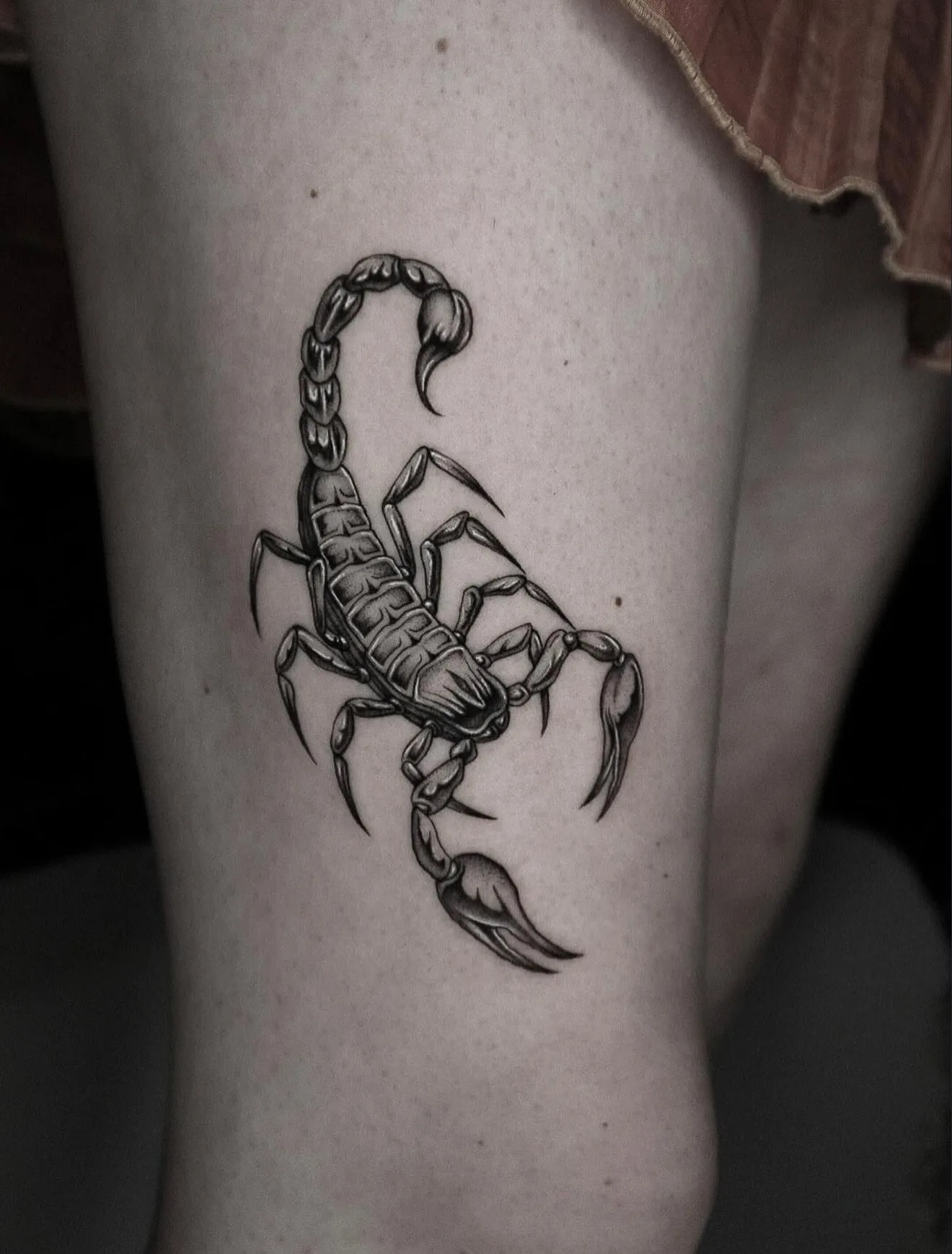 blackwork tattoo, scorpion on the ribs